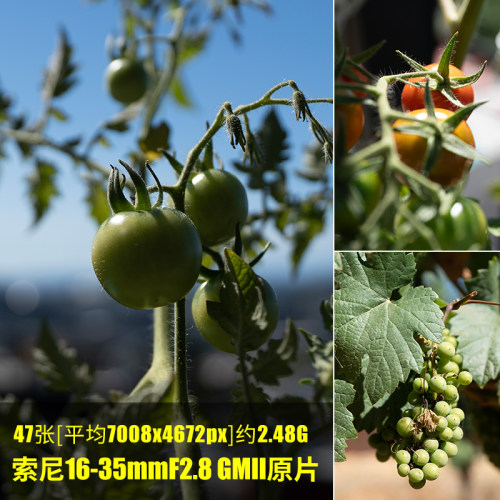 索尼16-35mmF2.8GMII原片原图RAW+JPG相机图直出未修素材摄影图片