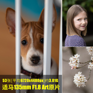 JPG相机直出未修高清摄影素材图 Art原片原图RAW 适马135mm F1.8