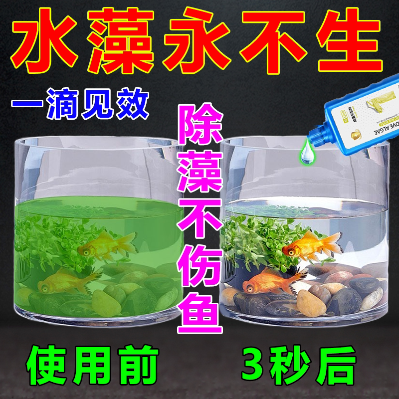 除藻剂【除藻不伤鱼】鱼缸除绿藻褐藻丝藻黑藻去绿去苔剂池塘通用