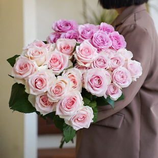 如意花卉【随机玫瑰】20枝鲜切花鲜花插花直发新鲜顺丰年宵情人节
