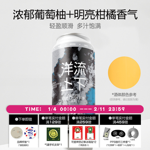 纸飞机酿造 洋流上下TDH帝国浑浊IPA 国产纸飞机强酒花精酿啤酒