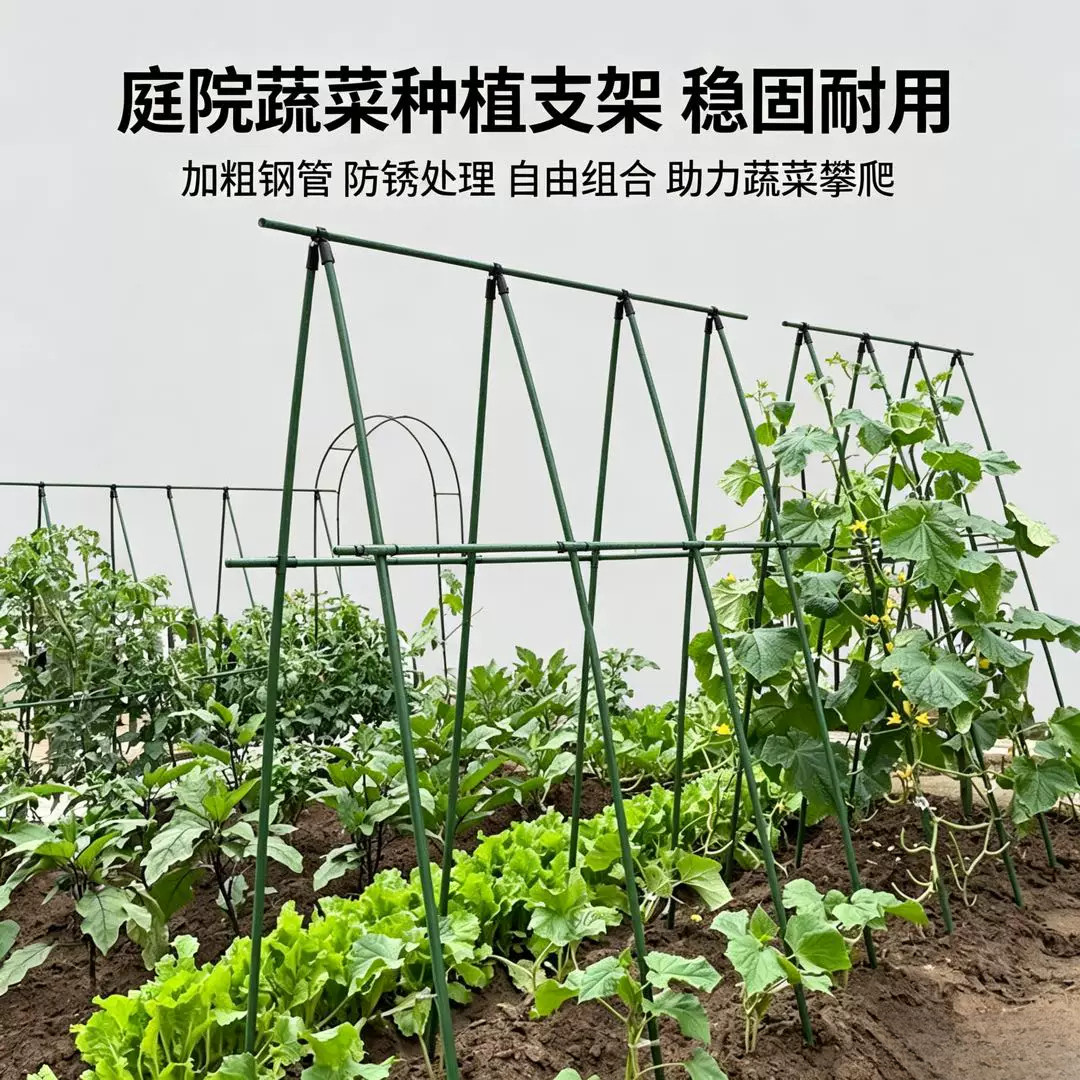 家用蔬菜爬藤架 稳固防倒防锈处理 庭院阳台黄瓜豆角藤蔓支撑架子图片