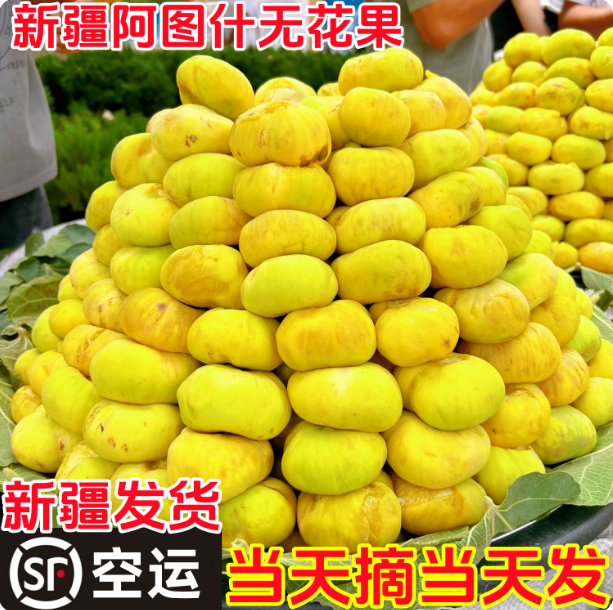 新疆无花果阿图什无花果黄皮糖包子应季水果孕妇营养现摘现发顺丰