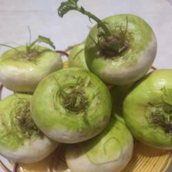 2025年新疆柯坪恰玛古农家自种蔬菜正宗新疆恰马古碱性食品纯天然