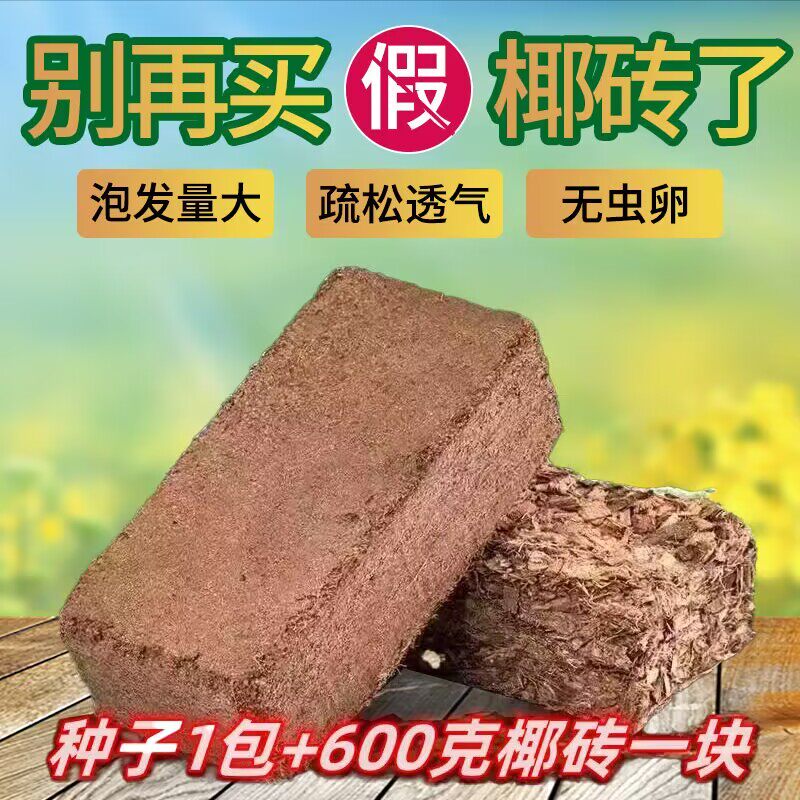 [오크라 씨앗] 녹색 오크라 씨앗은 사계절 파종되며 농가 발코니 뜰 야채 씨앗용으로 수확량이 많은 오크라 씨앗입니다