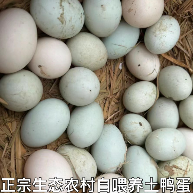 正宗农村自养土鸭蛋新鲜发货