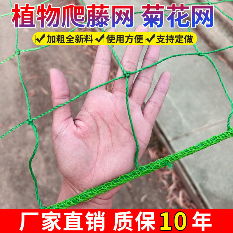 植物爬藤网攀援网园艺搭架网瓜果丝瓜苦瓜月季藤蔓花卉攀爬种植网