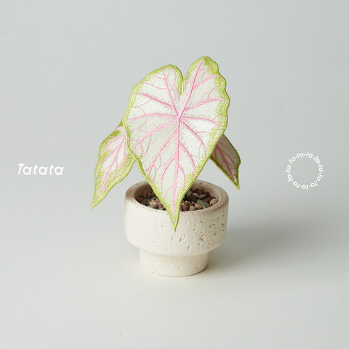 刺绣热植苹果花彩叶芋盆栽摆件