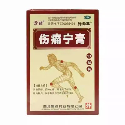 【康源】伤痛宁膏10贴/盒