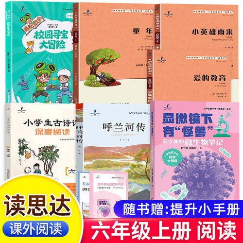 2026秋春读思达六年级下册上册鲁滨逊漂流记骑鹅旅行记汤姆索亚历险记抓住负数大盗小兵张嘎古诗词深度阅读整本书阅读快乐读书吧