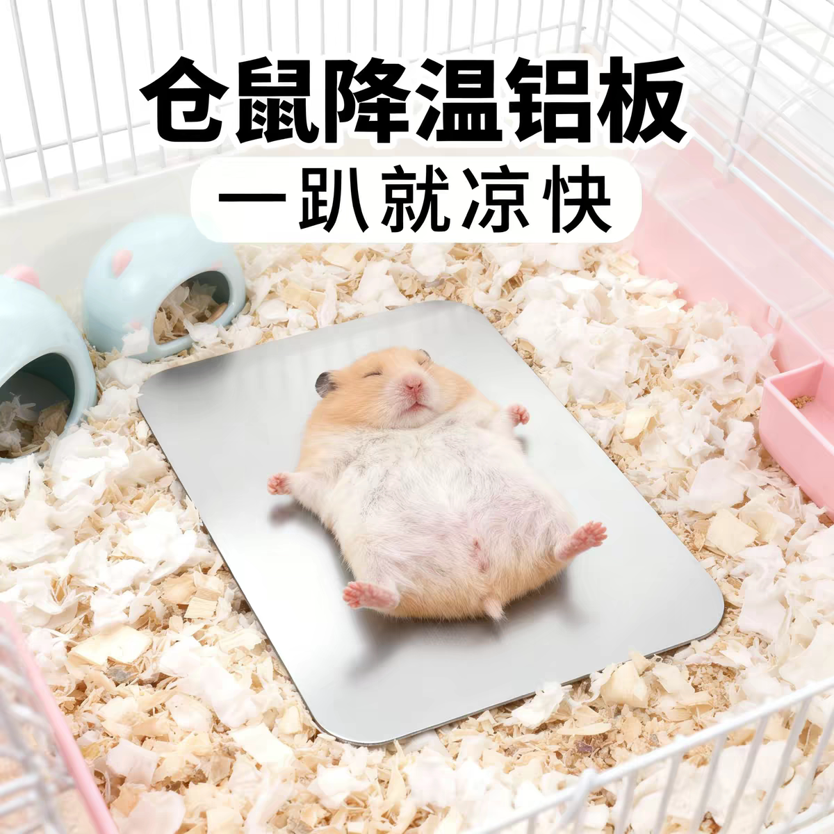 仓鼠夏日专用铝板散热冰垫荷兰猪