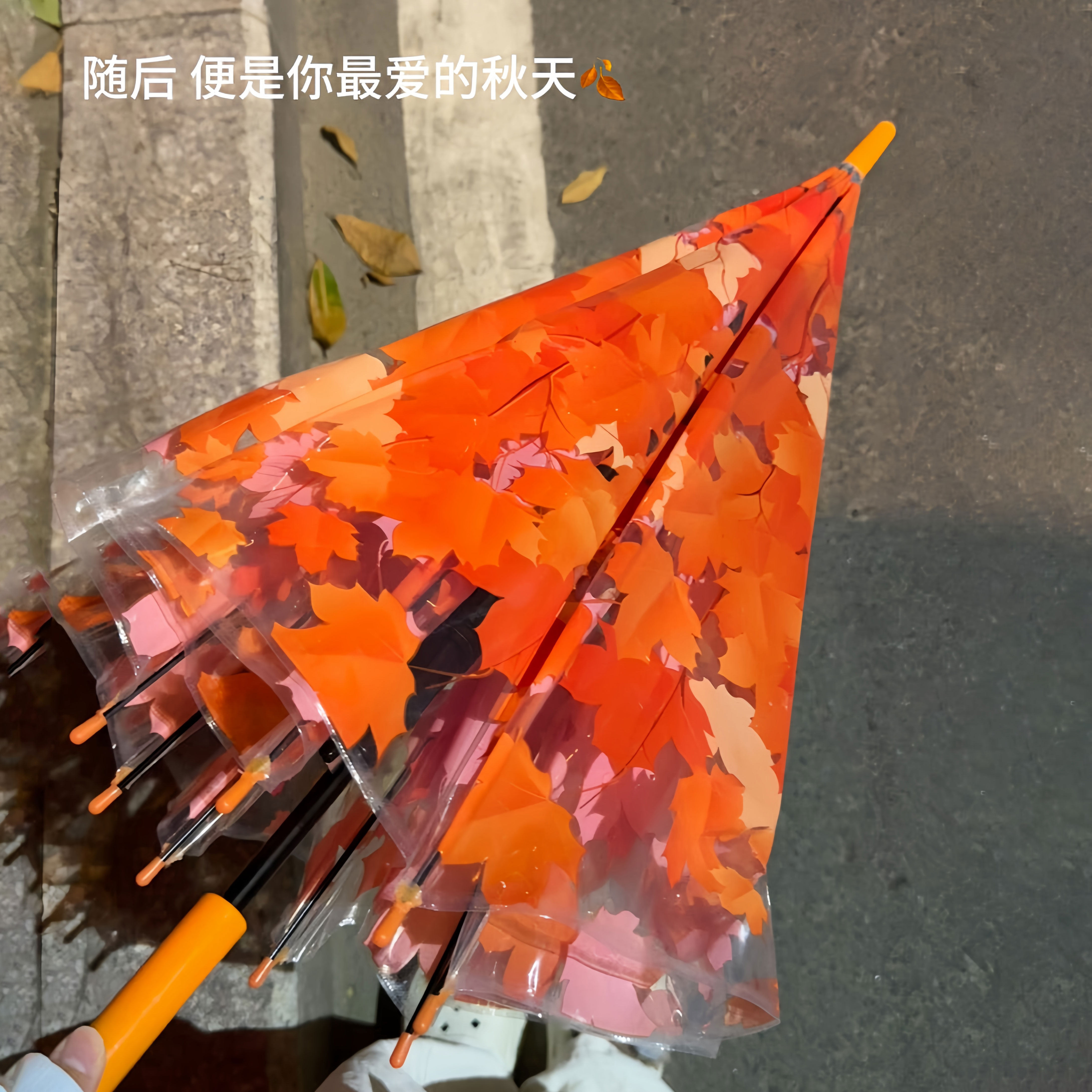 日系小清新枫叶雨伞蘑菇伞公主伞长柄直杆网红透明雨伞晴雨两用伞