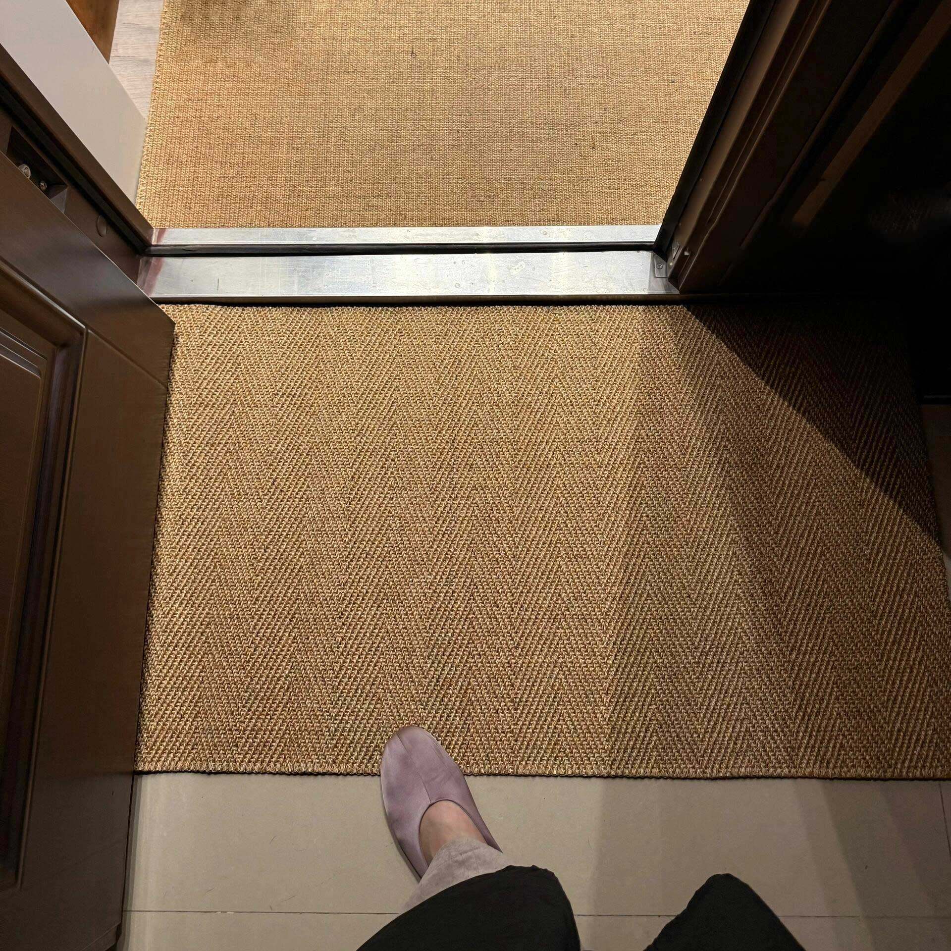 日式和风地垫入户门地垫高级感进门玄关耐脏防滑仿剑麻地毯猫抓,居家布艺,入户地垫,淘宝优惠券,粉丝福利购,淘宝优惠卷