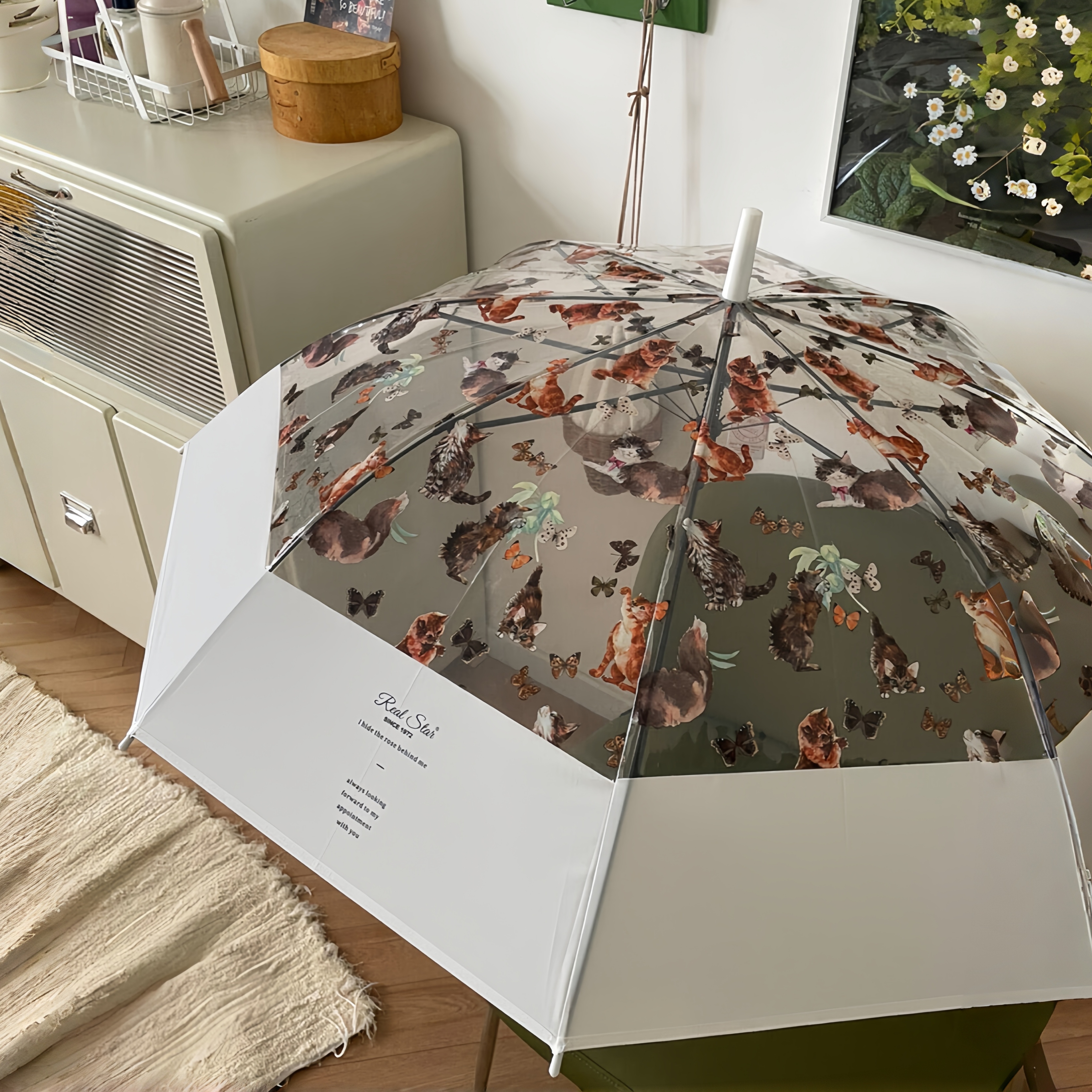 猫咪透明雨伞晴雨两用磨砂雨伞长柄加大加厚加固高颜值2025新款