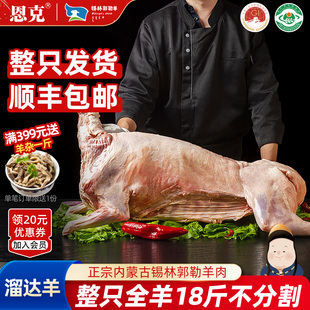 恩克全羊整只羊肉羊排羊腿羊蝎子散养户外烤全羊年货礼品19斤生鲜