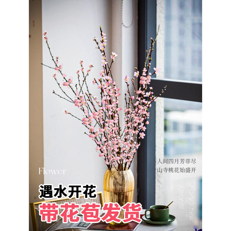 现货速发水培植物桃花枝鲜花雪柳干枝鲜切花水养盆栽室内珍珠李花