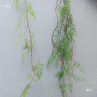 速发水草料骨芒假绿植物藤条空调管道缠绕藤蔓装黑塑饰花吊顶壁挂