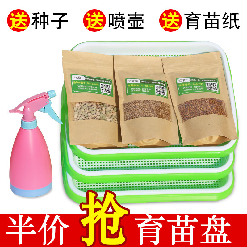 速发豆芽发芽盆神杯猫草育苗盘芽苗菜西瓜育苗料塑器豌豆苗种植盘