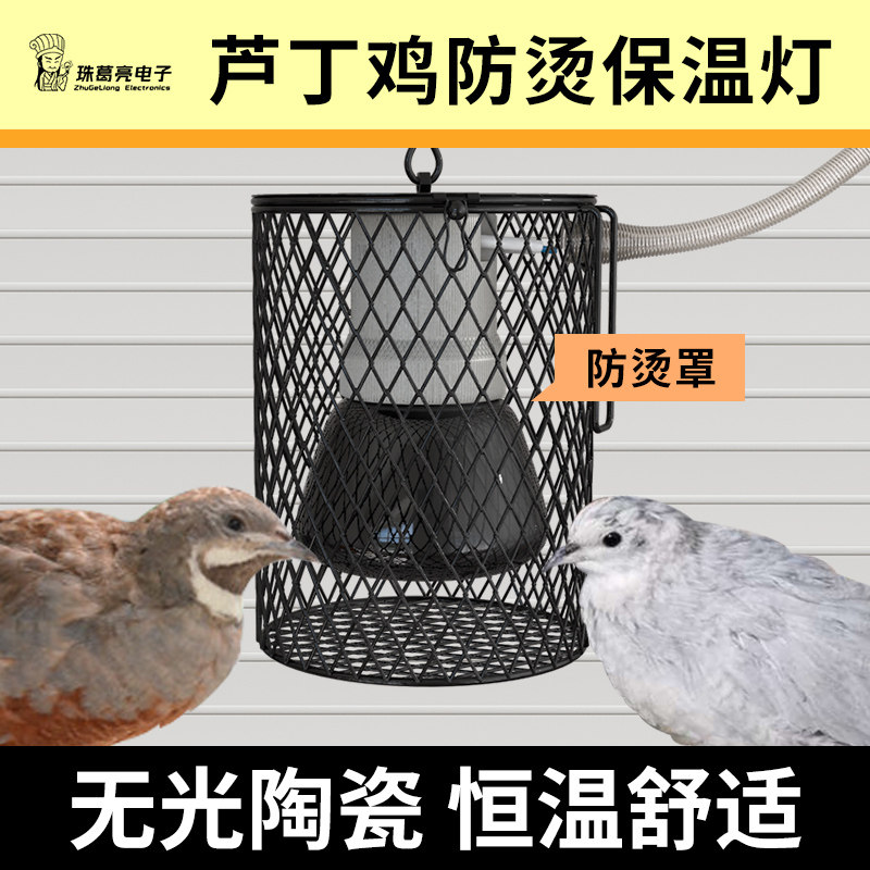 速发芦丁鸡小鸡保温箱加防灯灯罩防烫灯灯防护网加热网热烫手网取