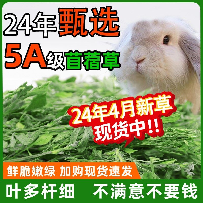 速发苜蓿草食紫粮草子花干草幼兔兔用豚鼠吃的粮食苜宿草兔粮饲料,宠物/宠物食品及用品,兔兔干草,淘宝优惠券,粉丝福利购,淘宝优惠卷