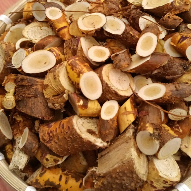 广东粤北野挖桑树根现挖现发