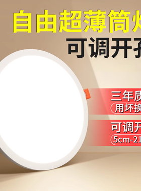 自由开孔筒灯店铺商用led灯6w9w15w21w3寸4寸6寸圆形嵌入式孔灯
