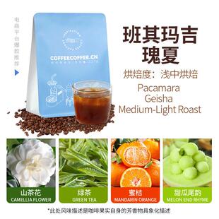 班其玛吉瑰夏水洗处理 绿茶茉莉感浅中烘焙手冲精品咖啡豆227