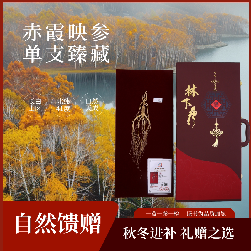 户小亚长白山人参干参单支装高档礼盒