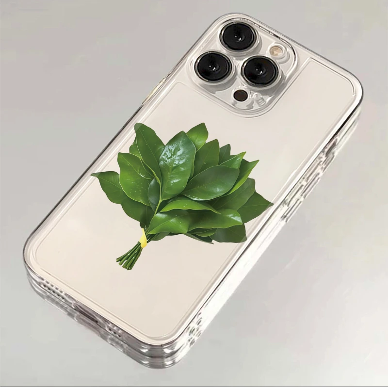 全机型柚子叶去晦气太空壳手机壳