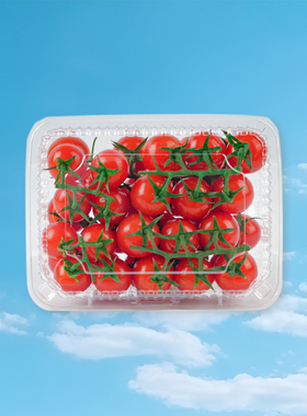 柿一家串收樱桃番茄千禧圣女果顺丰包邮生吃水果西红柿