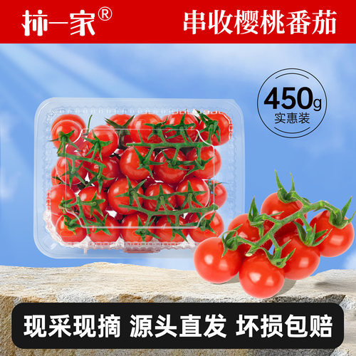 柿一家串收樱桃番茄健康