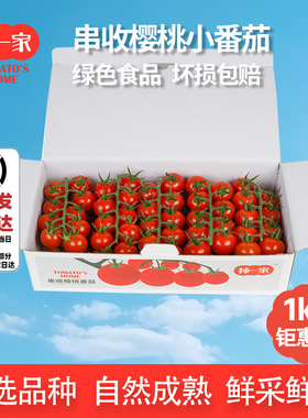【柿一家】串收樱桃小番茄1kg/盒美味饱满解腻清甜