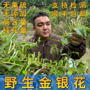 野生金银花干货精选金银花花蕾带绒毛忍冬花茶野生中大花无熏硫