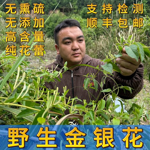 野生金银花干货精选金银花花蕾带绒毛忍冬花茶野生中大花无熏硫