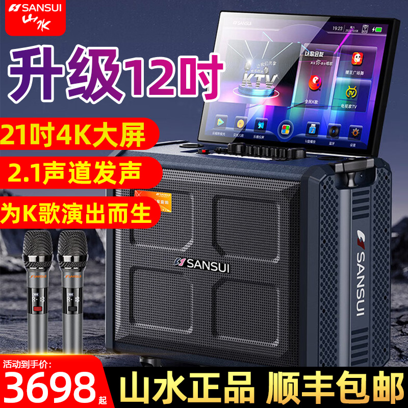 山水大功率一体式12寸K歌演出