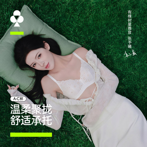 有棵树蕾丝无钢圈聚拢显大文胸