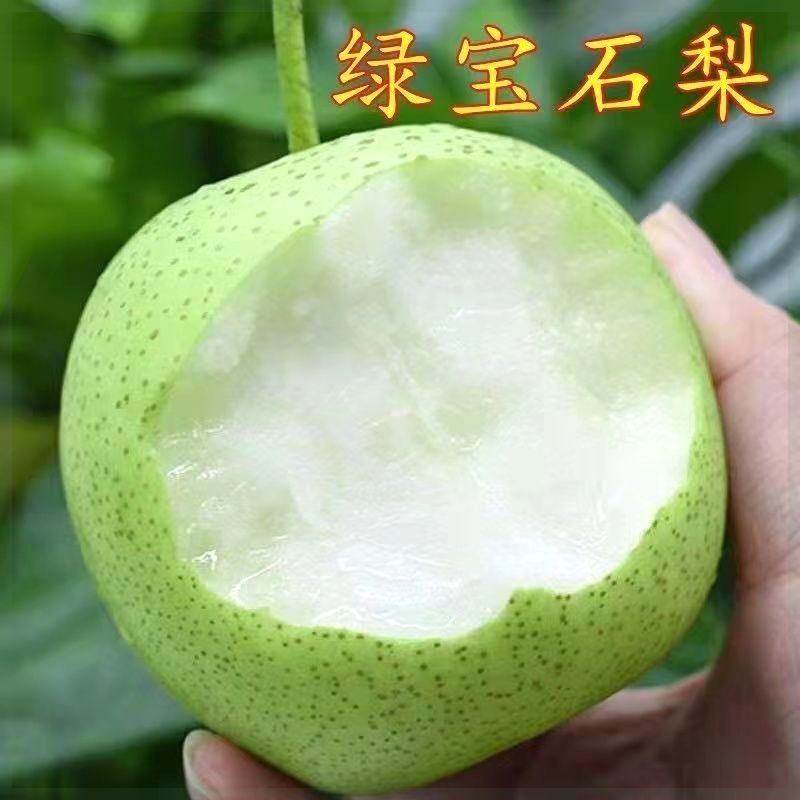 绿宝石梨树苗嫁接庭果树苗黄金梨盆栽地栽苗南方北方种植当年结果,鲜花速递/花卉仿真/绿植园艺,果树,淘宝优惠券,粉丝福利购,淘宝优惠卷