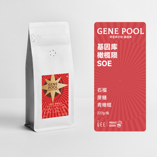 GEE咖啡豆寻豆师玛格丽塔石墙庄园瑰夏卡杜艾SOE意式 浓缩黑咖227g