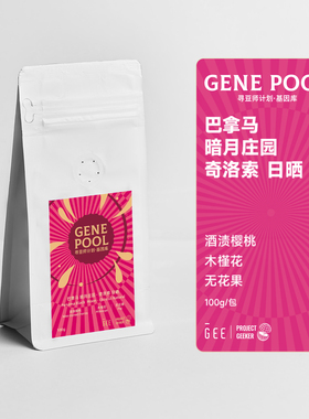 GEE咖啡寻豆师巴拿马暗月庄园奇洛索日晒精品单品黑咖啡豆100克