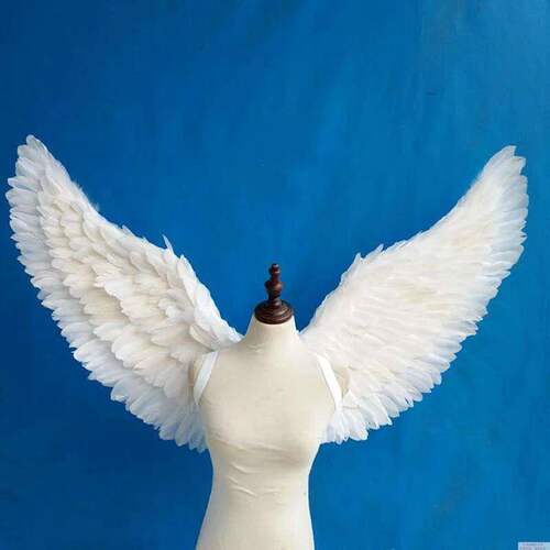 Kids Adult Party Swallow White Angel Feather Wings Halo