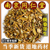 南京同仁堂正品 桑寄生中药材正宗梧州桑树桑寄生中药草泡茶煮水喝