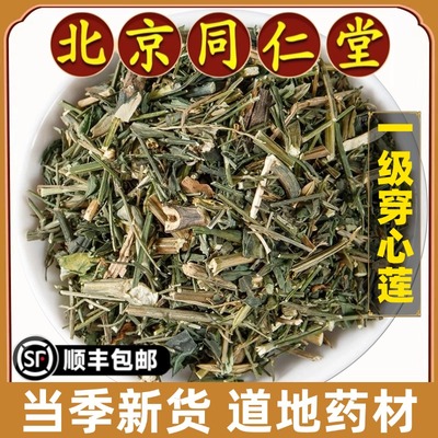 北京同仁堂正品穿心莲中药材特级