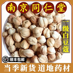 南京同仁堂正品白豆蔻中药材壳蔻白蔻百叩仁白蔻仁白扣白蔻仁无硫