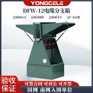 DFW-12户外欧式不锈钢铜排分接对接箱10KV高压电缆分支箱一进一出