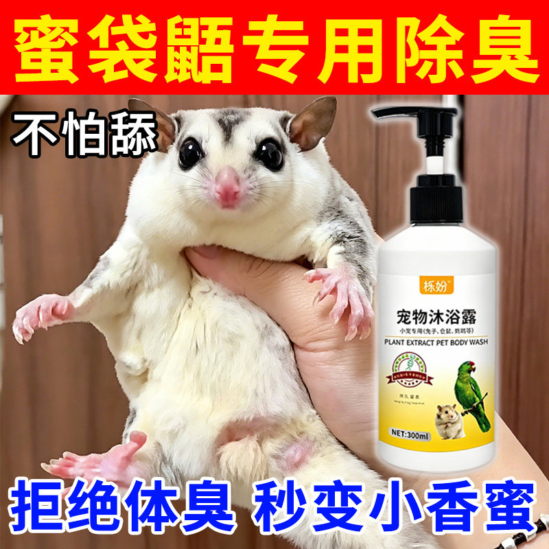 蜜袋鼯沐浴露除臭专用豚鼠荷兰猪沐浴露抗菌除臭除螨豚鼠洗澡用品