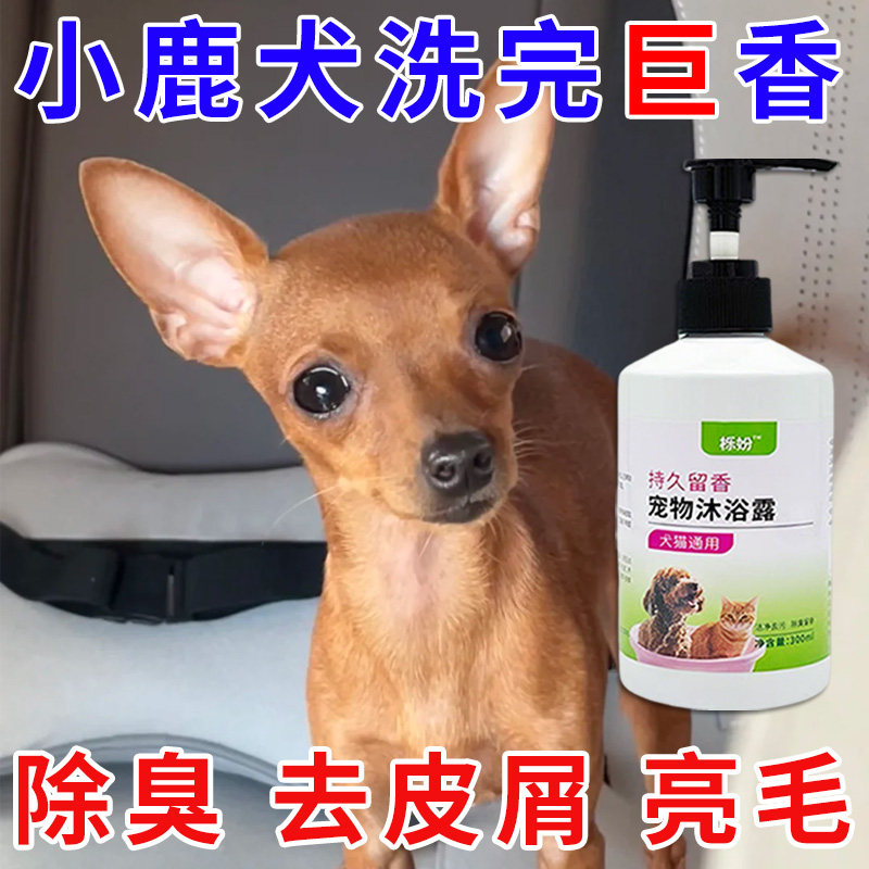 小鹿犬专用沐浴露亮白去黄狗狗白毛犬沐浴液宠物狗清洁用品香波