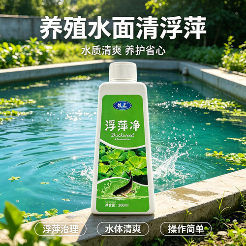 浮萍一撒净不伤鱼虾蟹景观河道藕塘水稻田清浮萍鱼塘清理蓝藻浮萍
