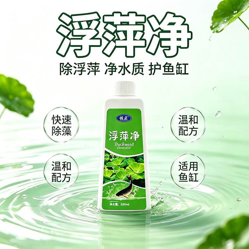 鱼池净水剂鱼塘净水除藻去苔剂青苔清除剂鱼缸除浮萍清池塘变清