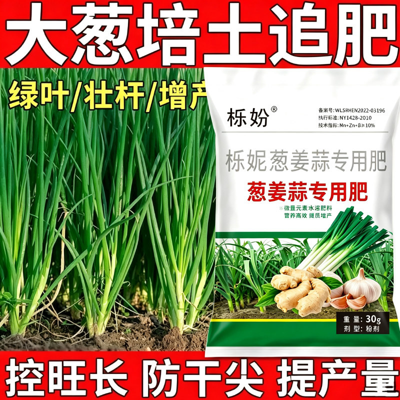 大葱专用肥干尖黄叶增白拉长抗病增产大葱叶面肥大葱增产肥料快速