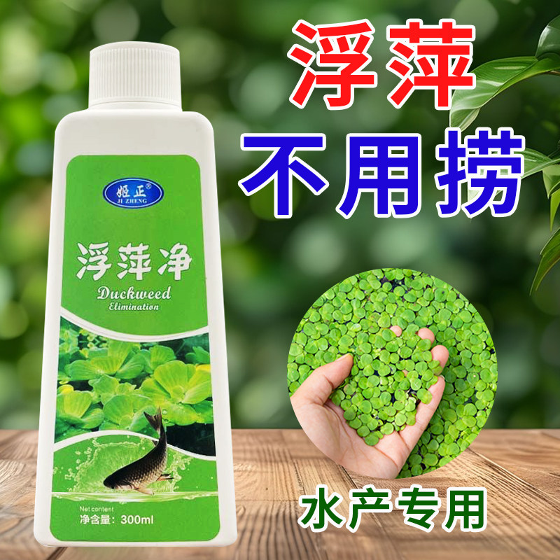 鱼池浮萍清除剂免打捞鱼塘除藻不伤鱼虾蟹去绿藻去除净水剂